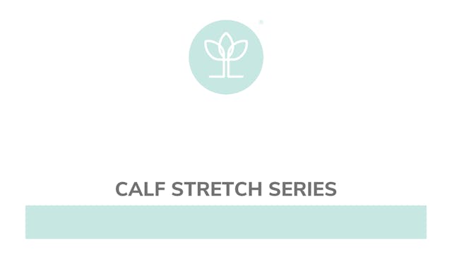 Calf Stretch Series