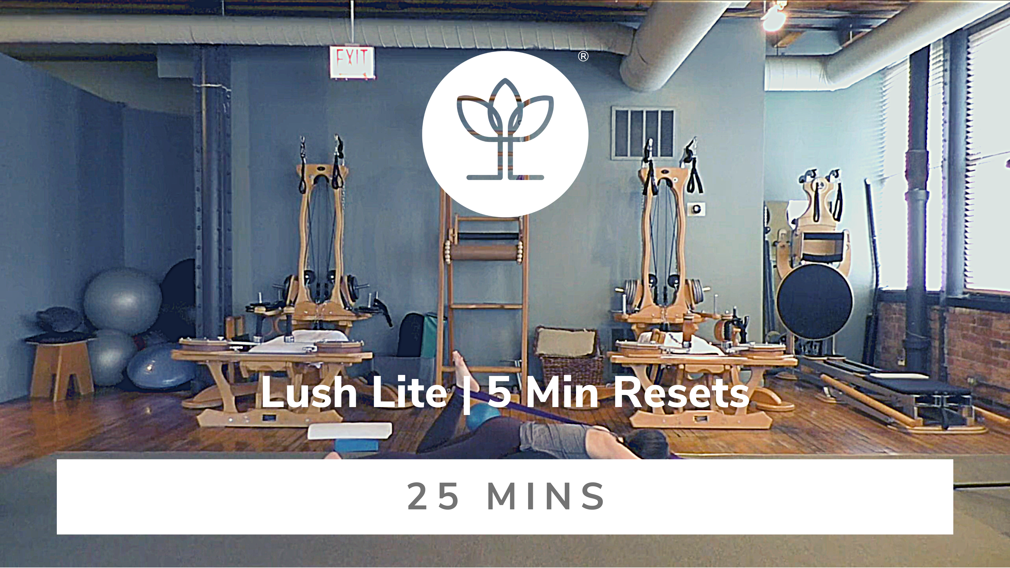Lush Lite | 5 Minute Resets