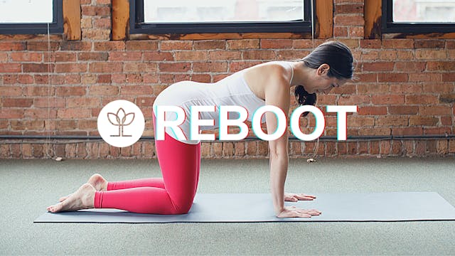 REboot 6-Week Program