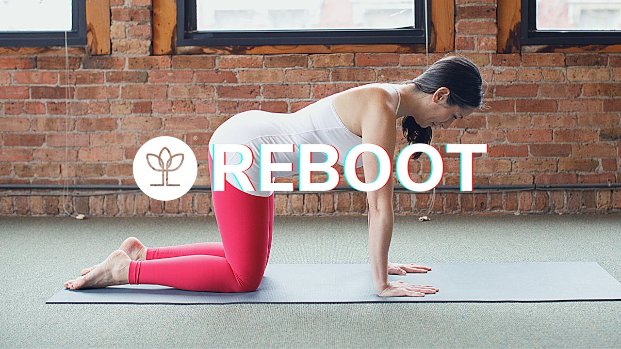 REboot 6-Week Program