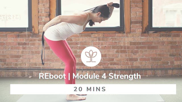 REboot | Module 4 – Strength