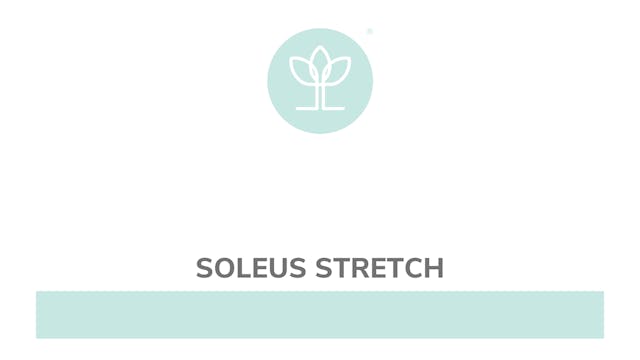 Soleus Stretch