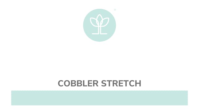 Cobbler Stretch