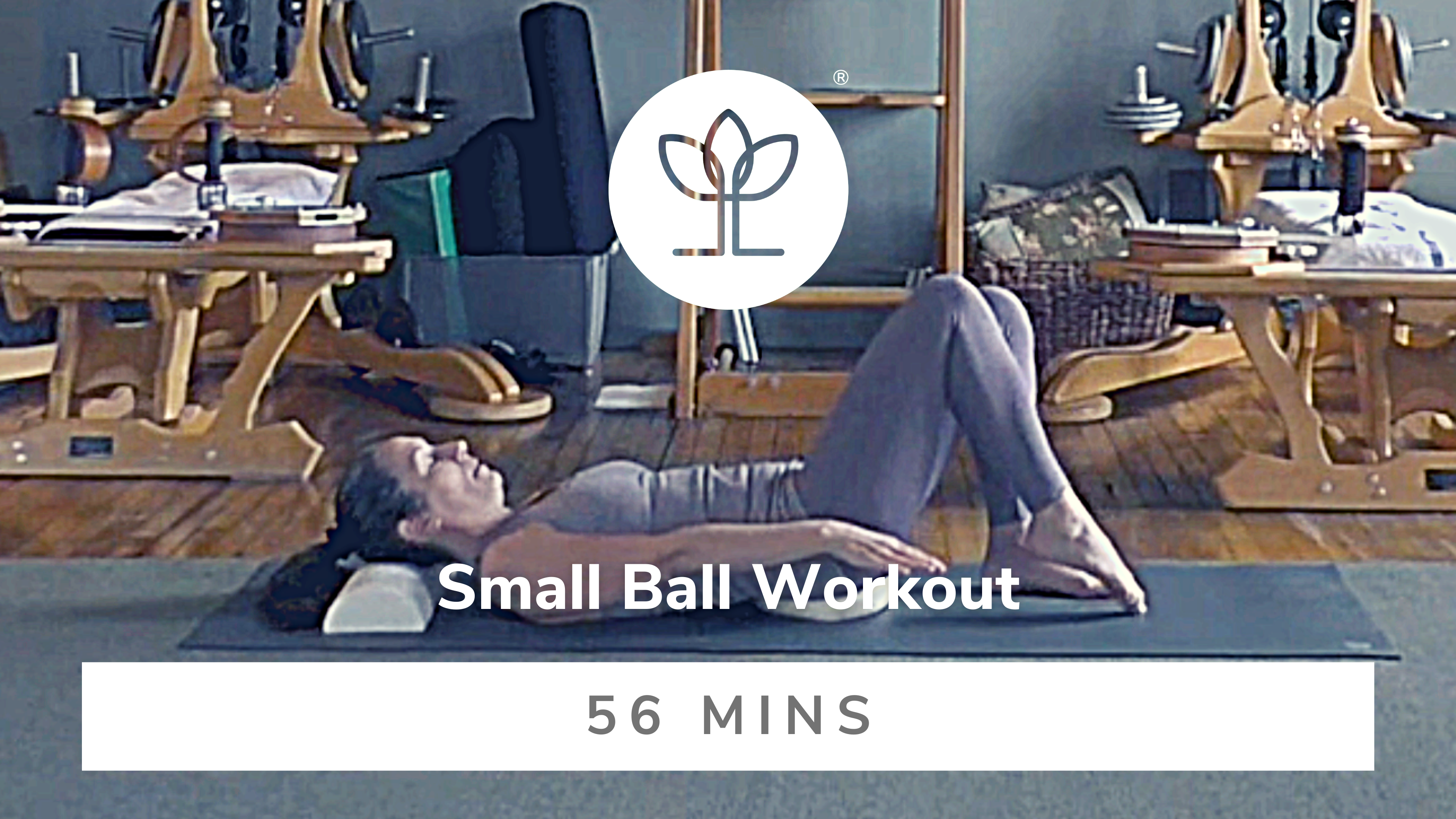 Small Ball Workout