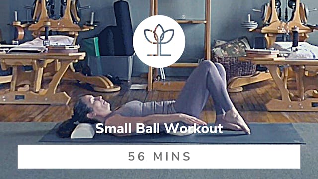 Small Ball Workout