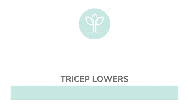 Tricep Lowers