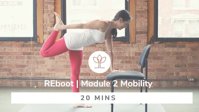 REboot | Module 2 – Mobility