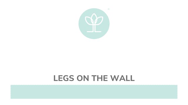Legs On The Wall