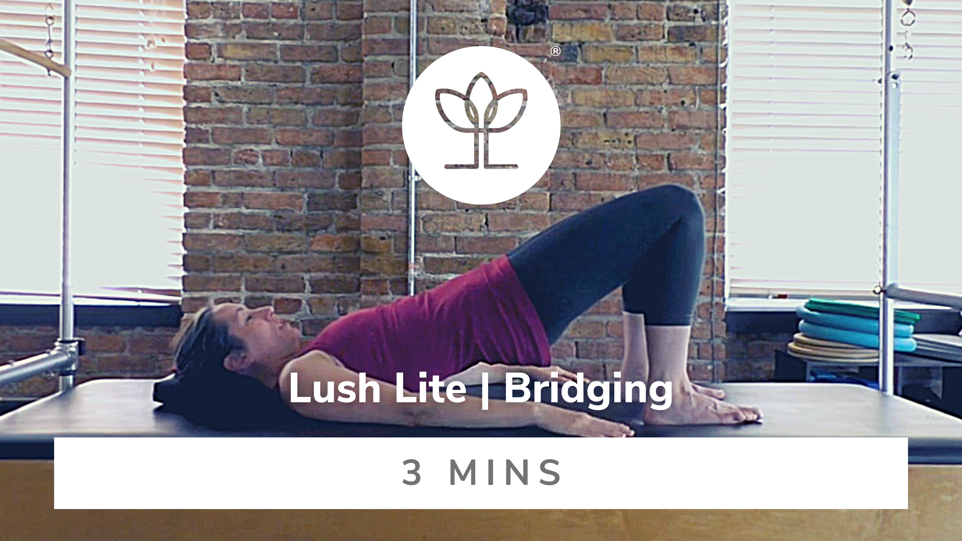 Lush Lite | Bridging