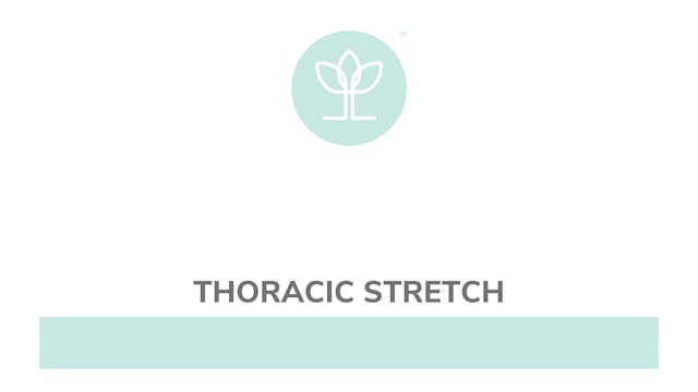 Thoracic Stretch
