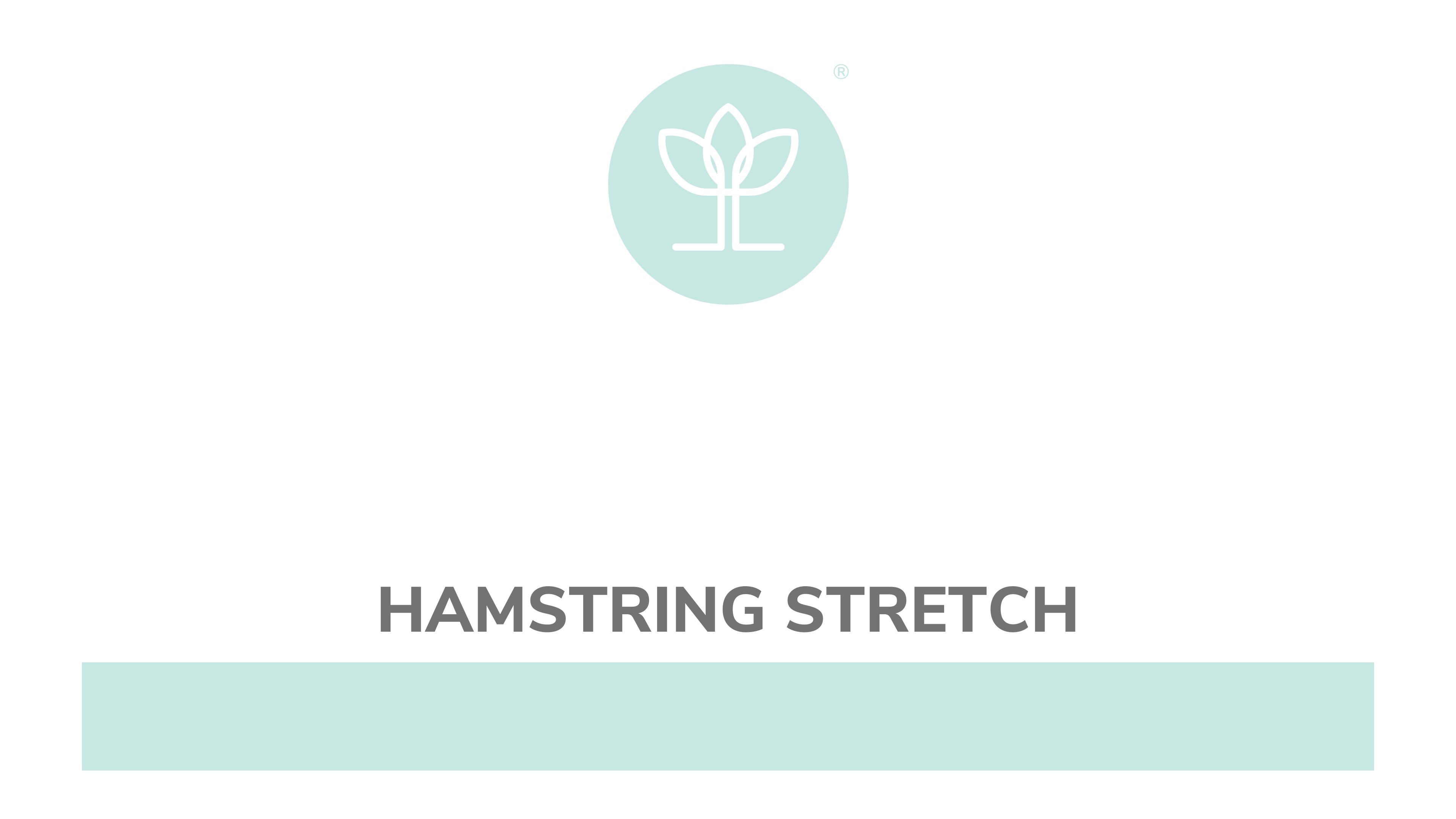 Hamstring Stretch