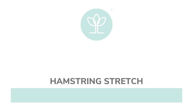 Hamstring Stretch