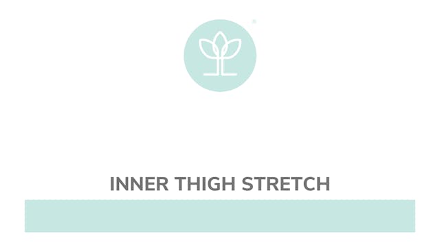 Inner Thigh Stretch