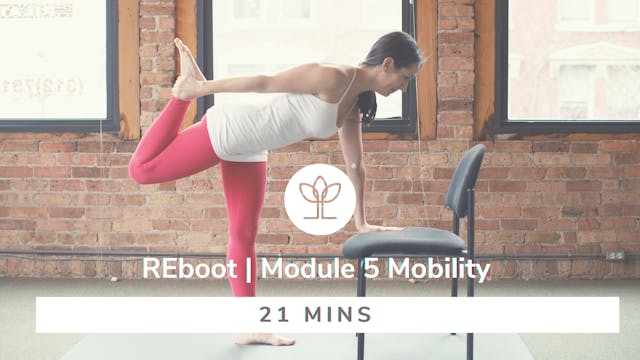 REboot | Module 5 – Mobility