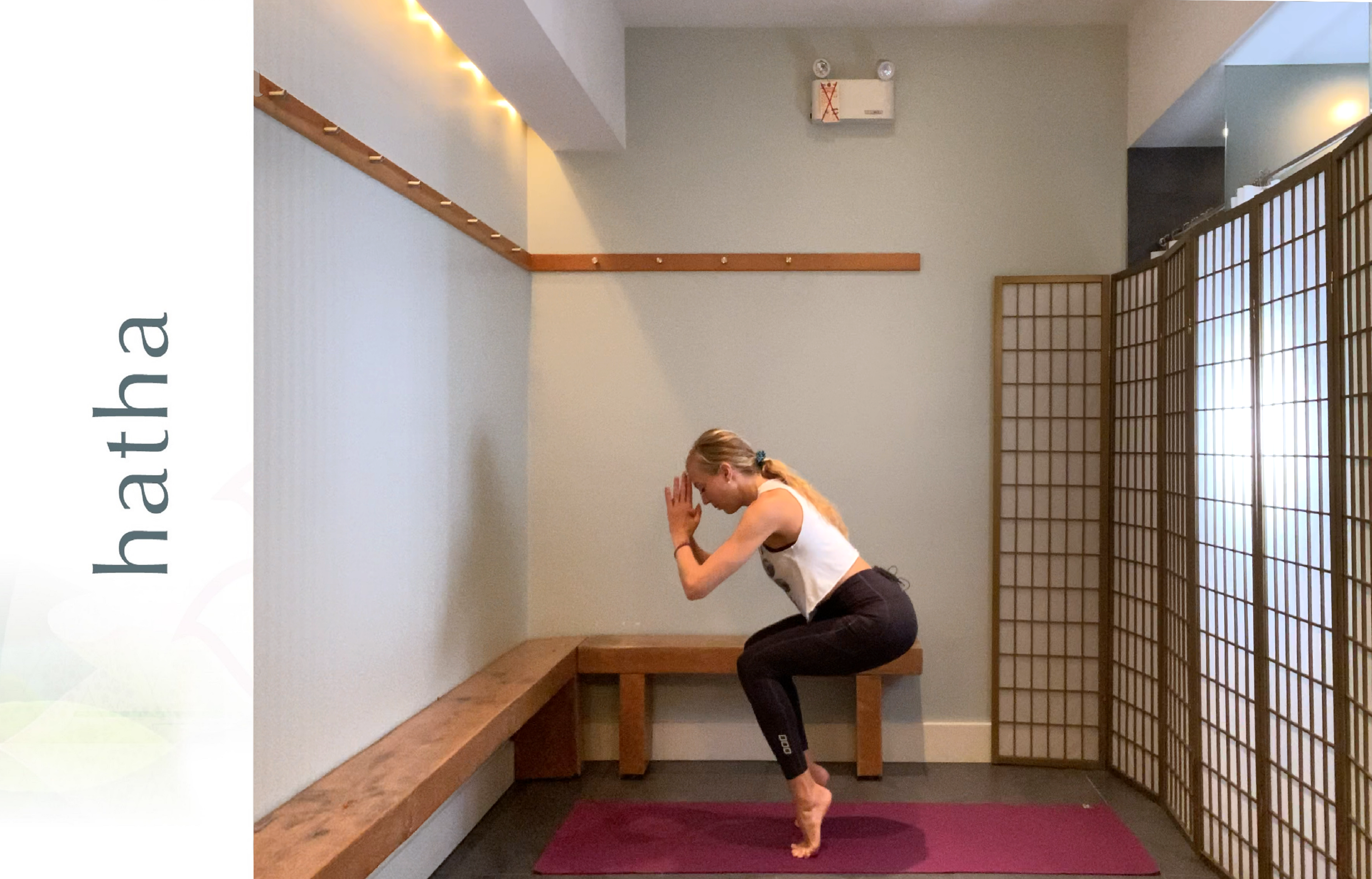 Yoga Barre Fusion: Squats