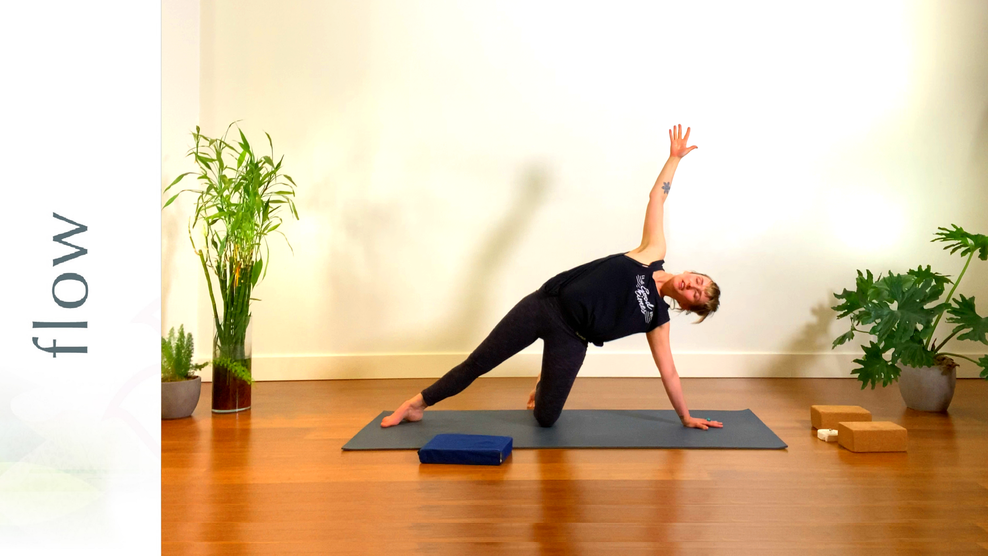 Side Plank Flow (4K)