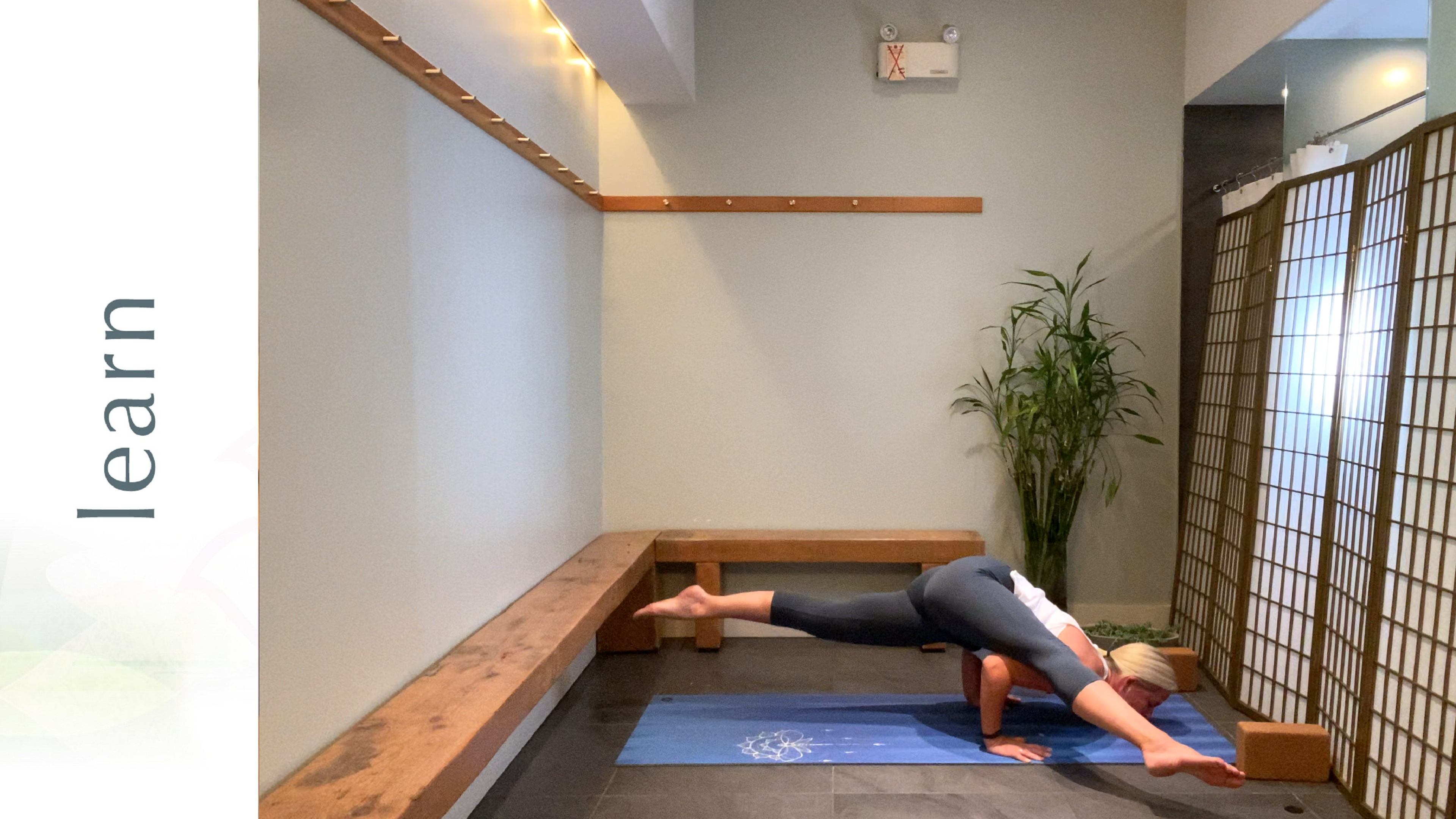 Eka Pada Koundinyasana B Tutorial