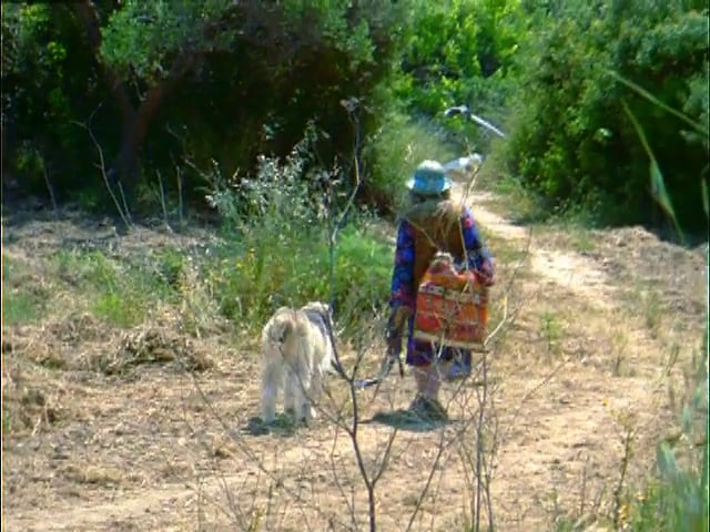 Juliette of the Herbs