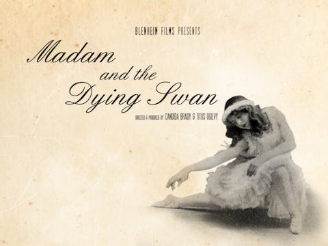 Madam and The Dying Swan