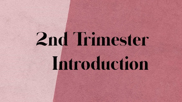 2nd Trimester Introduction + Considerations 