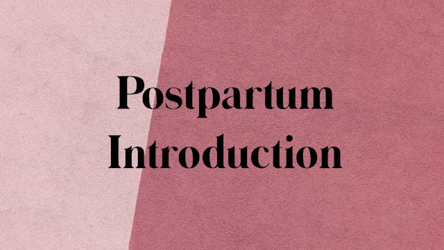 Postpartum Introduction 