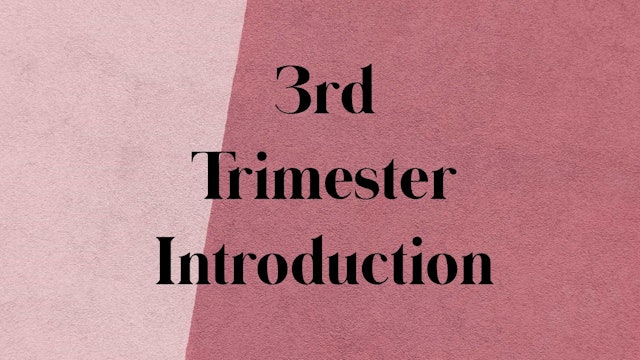 3rd Trimester Introduction + Considerations 