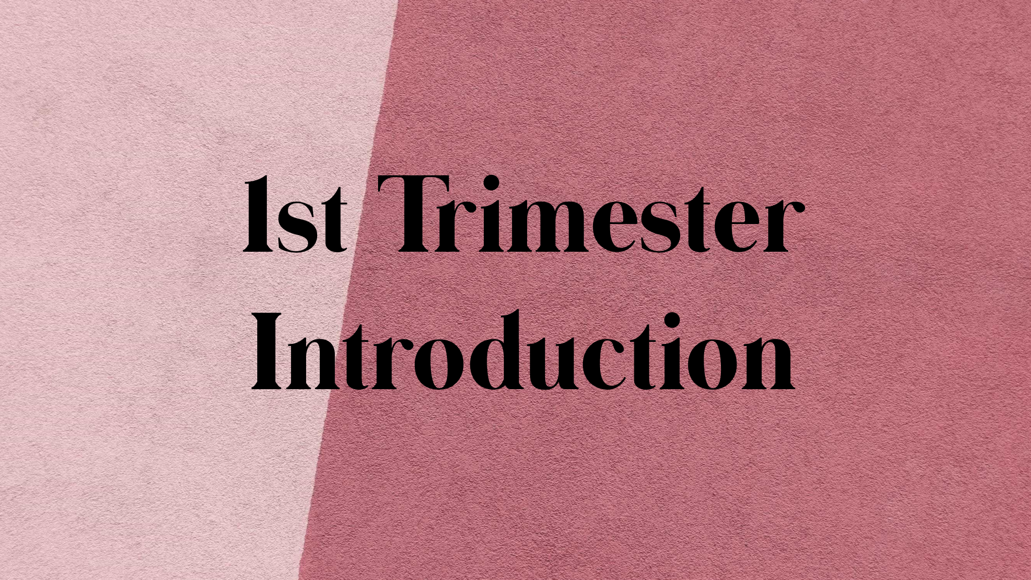 1st Trimester Introduction + Considerations 