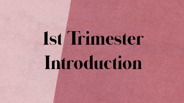 1st Trimester Introduction + Considerations 