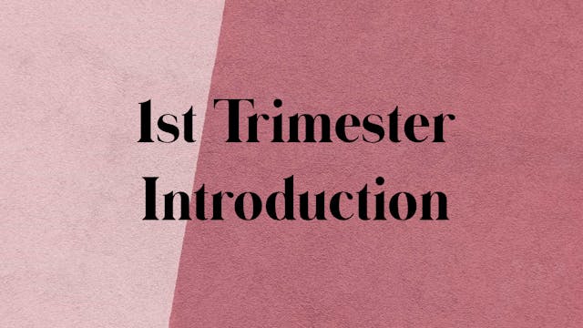 1st Trimester Introduction + Consider...