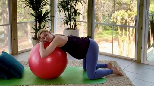 Labor and Birth Positions 