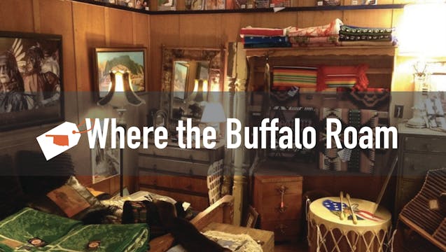 Where the Buffalo Roam