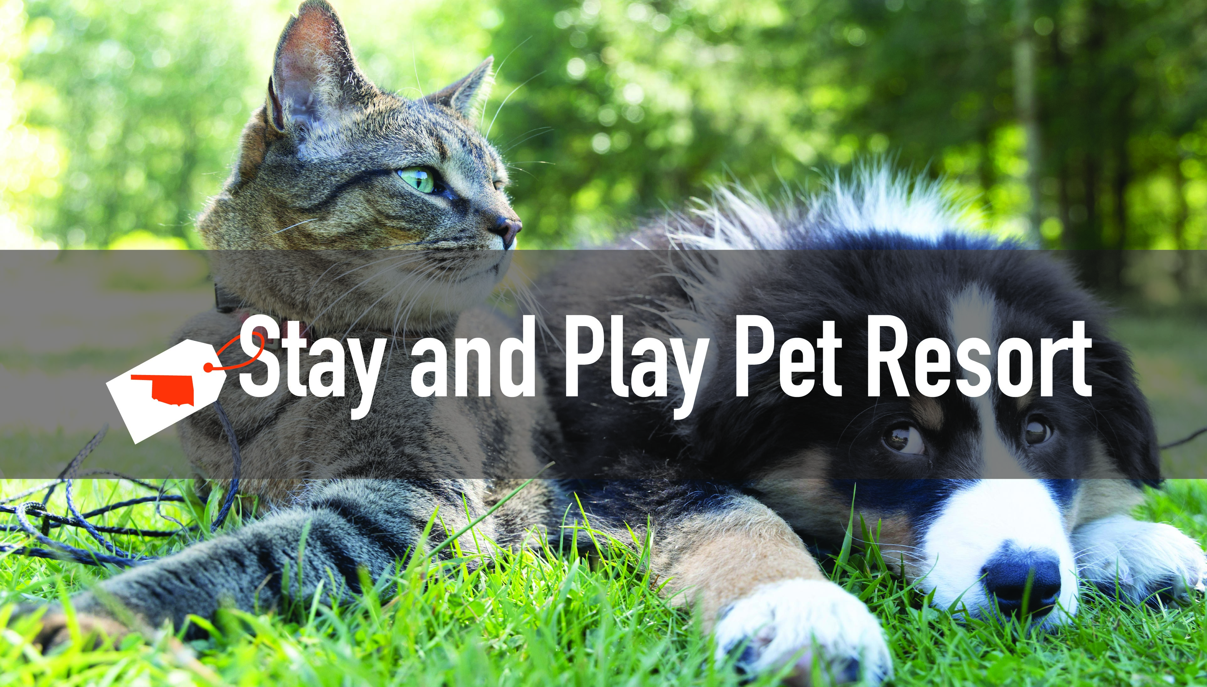 Stay & Play Pet Resort
