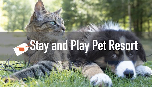 Stay & Play Pet Resort