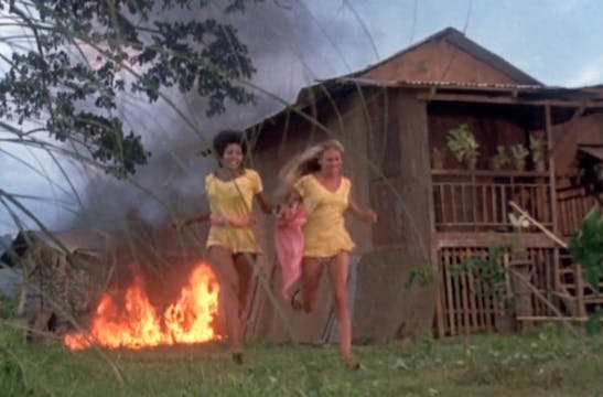 The films that inspired us