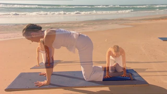 Radiance Yoga - Vinyasa Stretch and O...