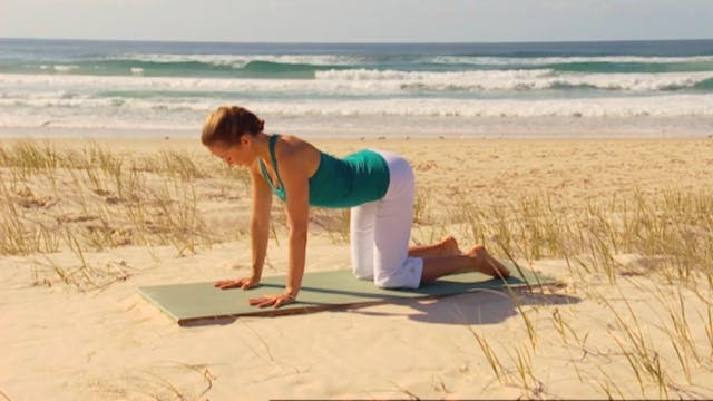 Radiance Yoga - Strength and Balance ...