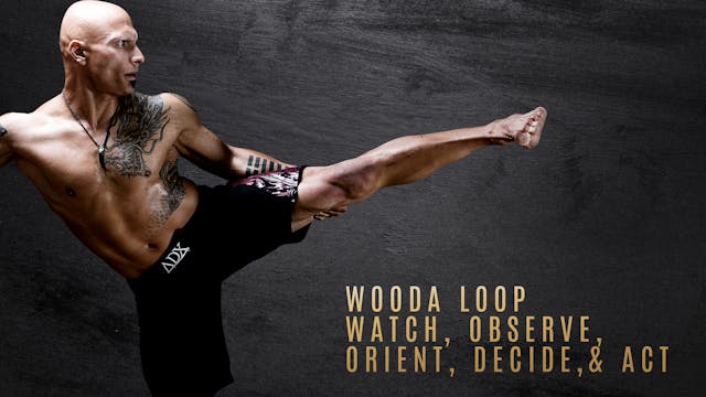 WOODA Loop - Watch, Observe, Orient, Decide, & Act (Attack)