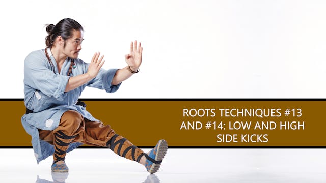 Roots Techniques #13 and #14: Low and High Side Kicks