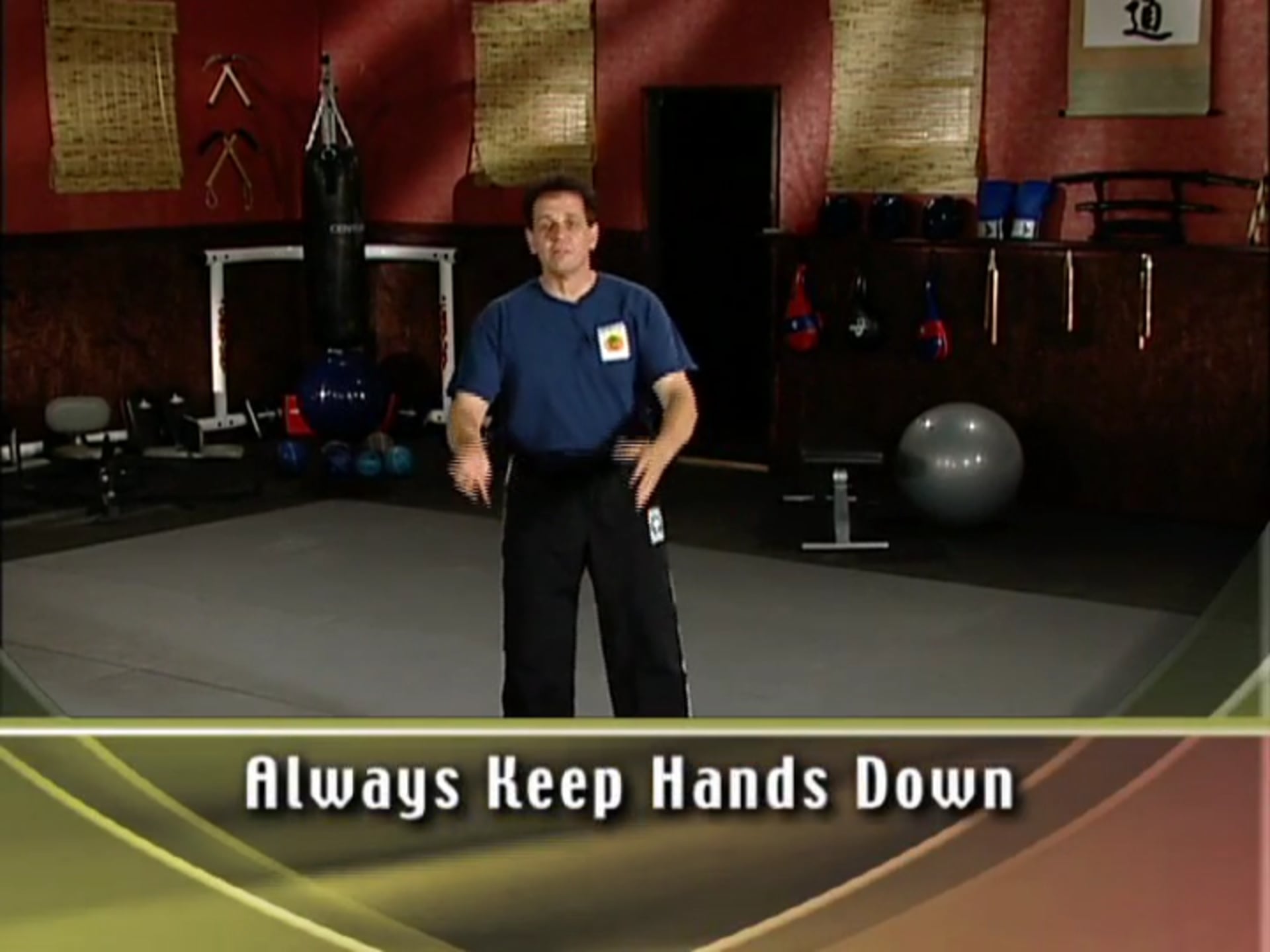 Steve Demasco - Shaolin Street Fighting