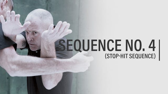 Episode 19 - Sequence No. 4 (Stop-Hit Sequence)