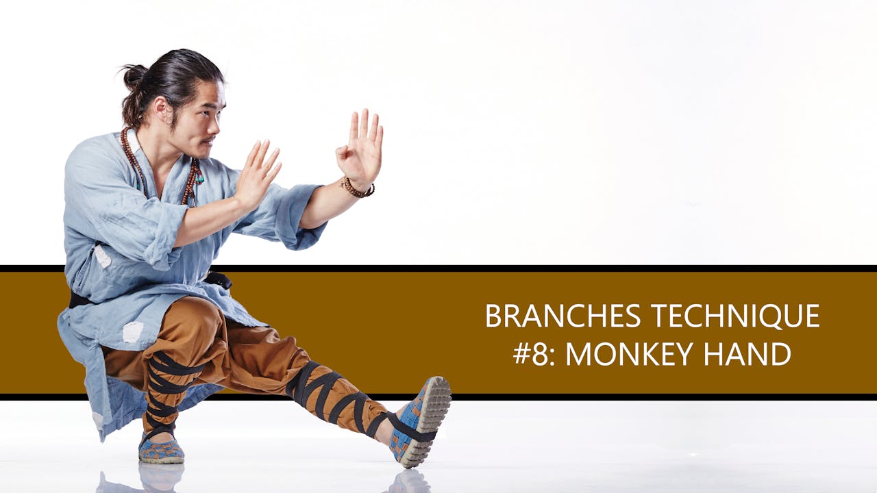 Branches Technique 8 Monkey Hand Tree of Shaolin Kung Fu With