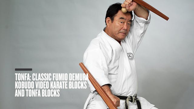 Tonfa: Classic Fumio Demura Kobudo Video Karate Blocks and Tonfa Blocks