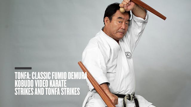 Tonfa: Classic Fumio Demura Kobudo Video Karate Strikes and Tonfa Strikes