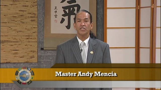 Intermediate: 6th and 5th GUP Green Belt