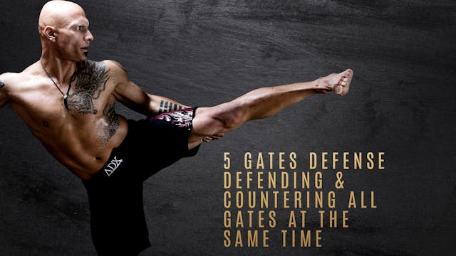 5 Gates Defense Defending & Counterin...