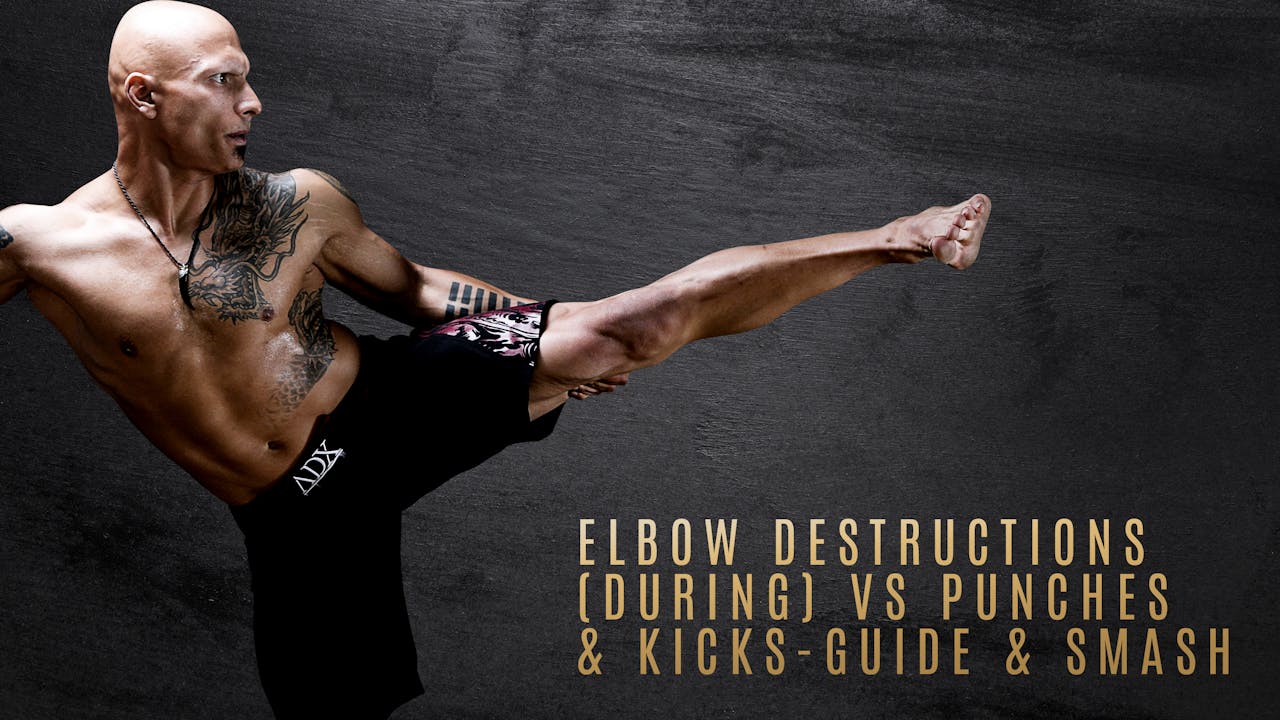Elbow Destructions (During) vs Punches & Kicks Guide & Smash Sifu Singh JKD for Black Belts