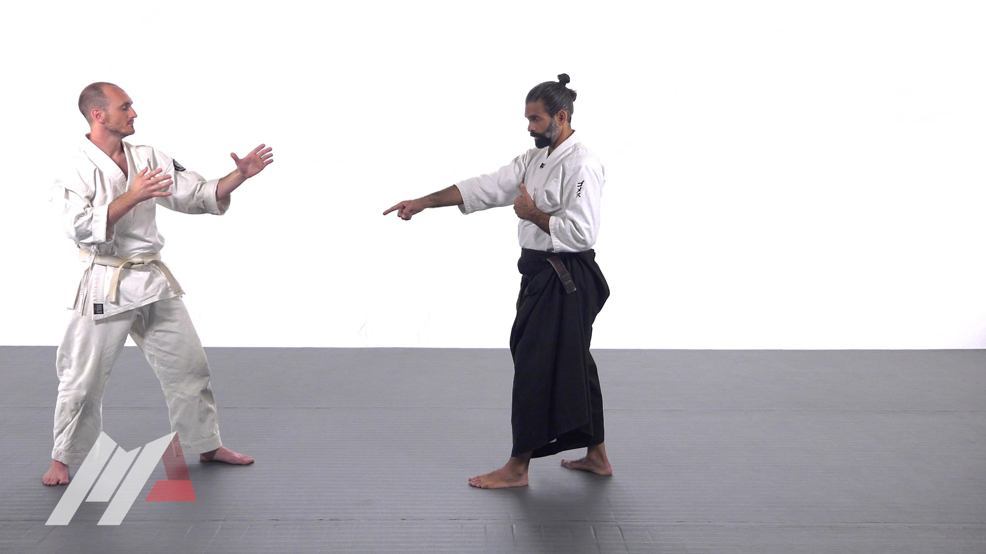 Guillermo Gomez - Aikido Basic Deflection