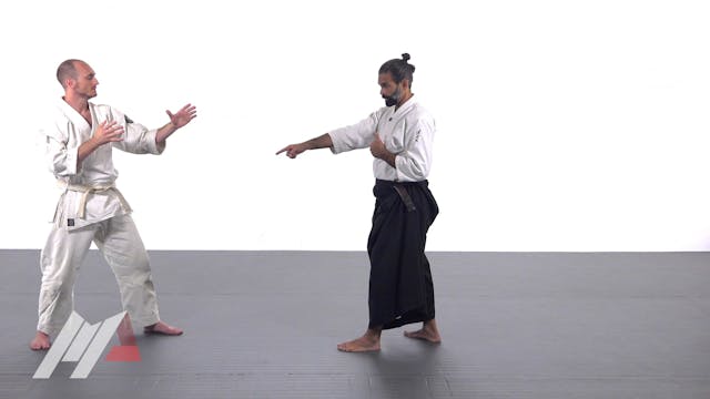 Guillermo Gomez - Aikido Basic Deflec...