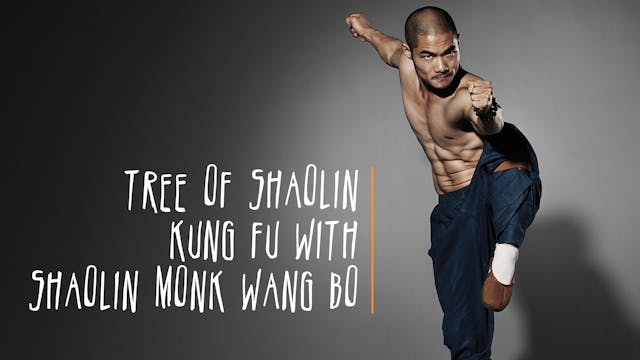 Tree of Shaolin Kung Fu With Shaolin Monk Wang Bo
