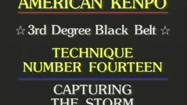 Mohamad Tabatabai - 3rd Degree Black Belt Self-Defense 2